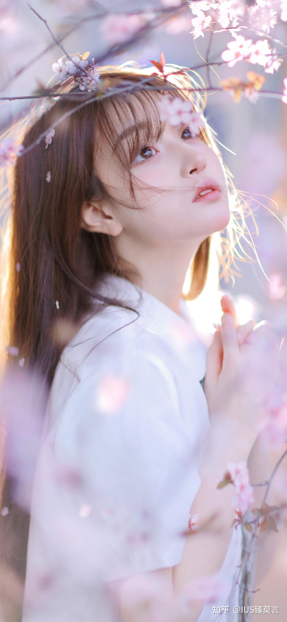 share丨寒鸦栖枝，暮色温柔