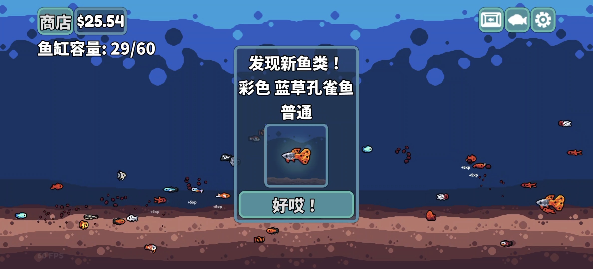 steam移植手游推荐轻松水族馆v1.1.1第9张插图
