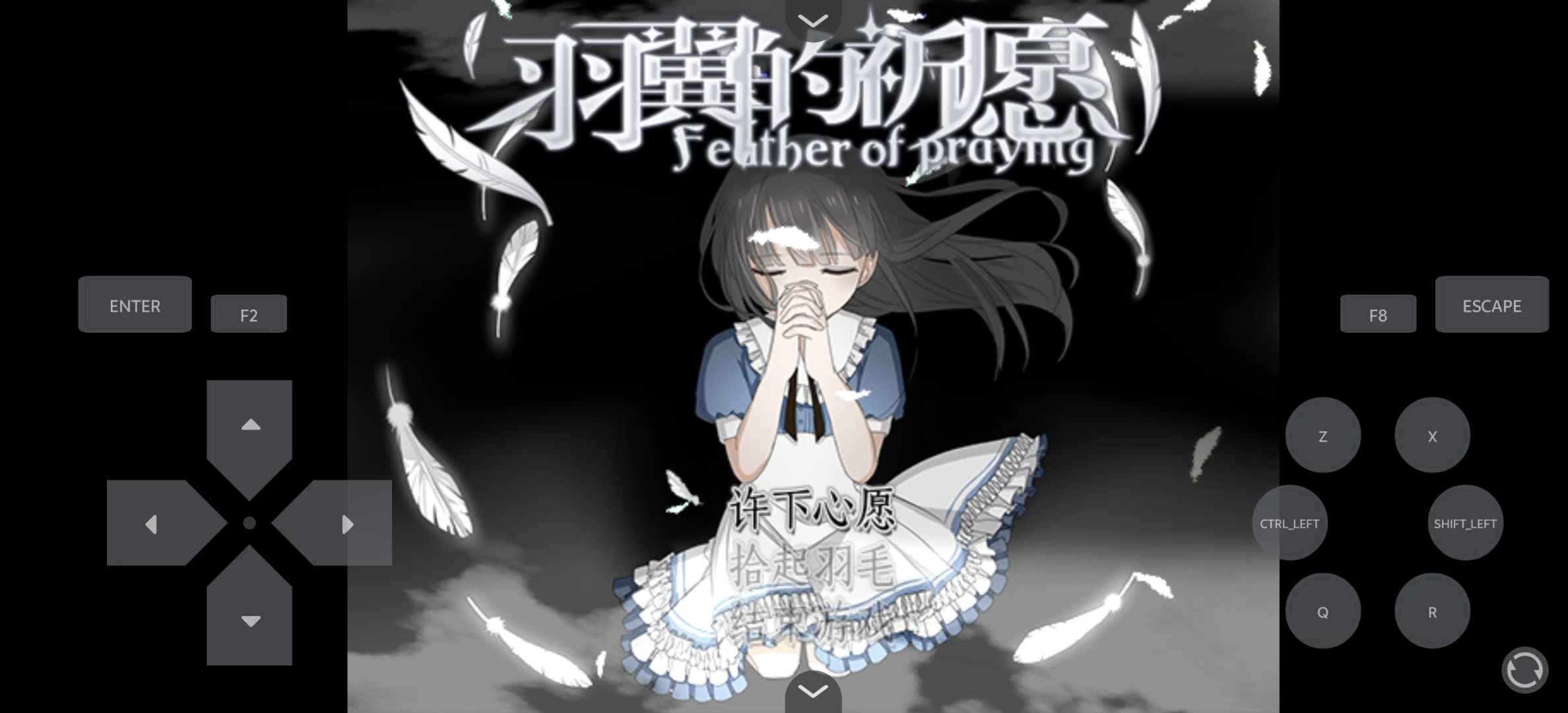 steam移植手游推荐羽翼的祈愿许愿版第4张插图