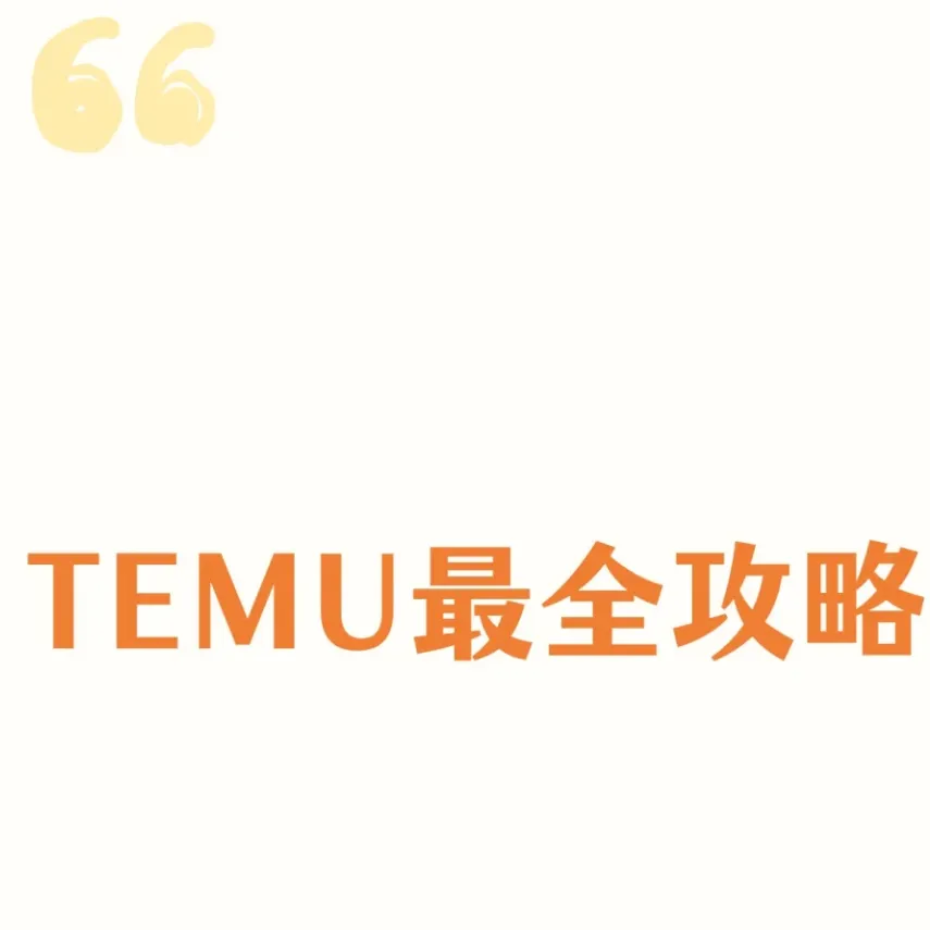 Temu卖家必看：选品、定价、运营全攻略，帮助你快速盈利第4张插图