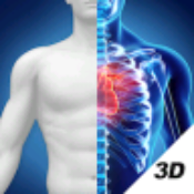 3D人体解剖图谱专业解剖知识/模型解锁会员第4张插图