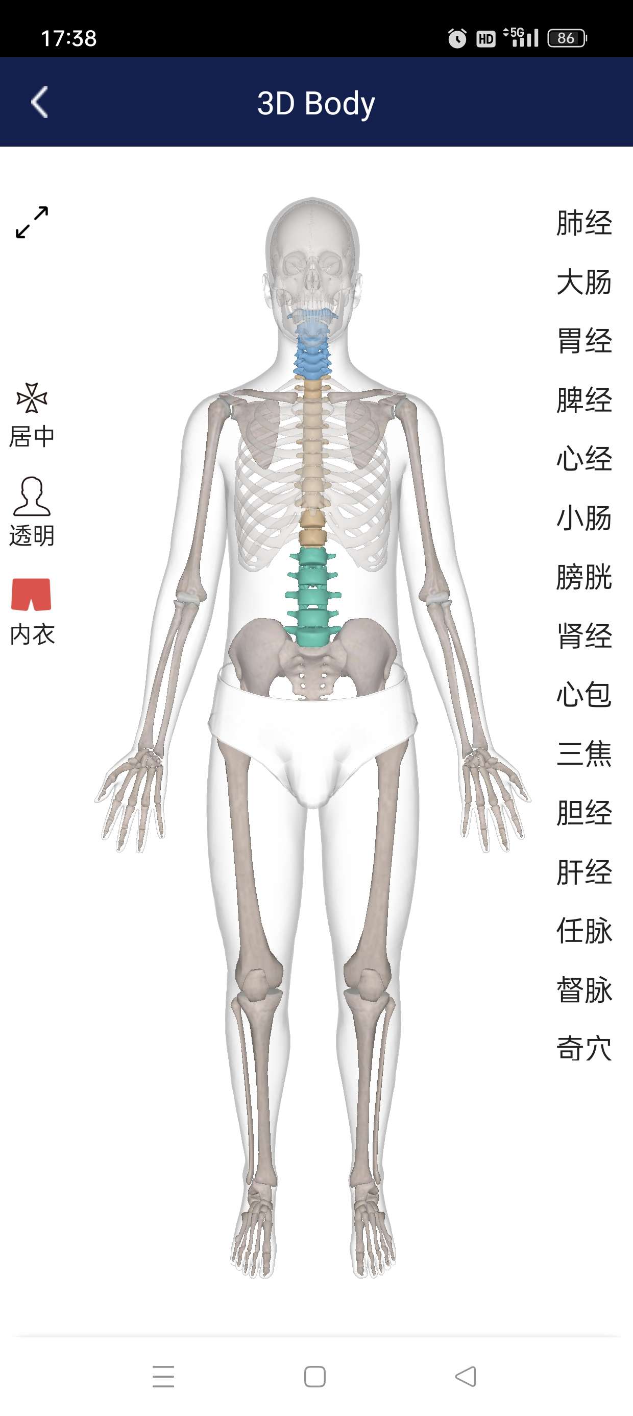 3D人体解剖图谱专业解剖知识/模型解锁会员第6张插图 3D人体解剖图谱专业解剖知识/模型解锁会员第6张插图