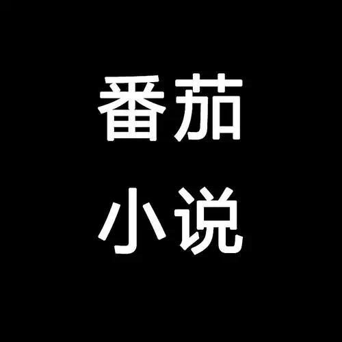 番茄通📣通杀所有番茄系列软件解锁SVIP会员去广告第4张插图