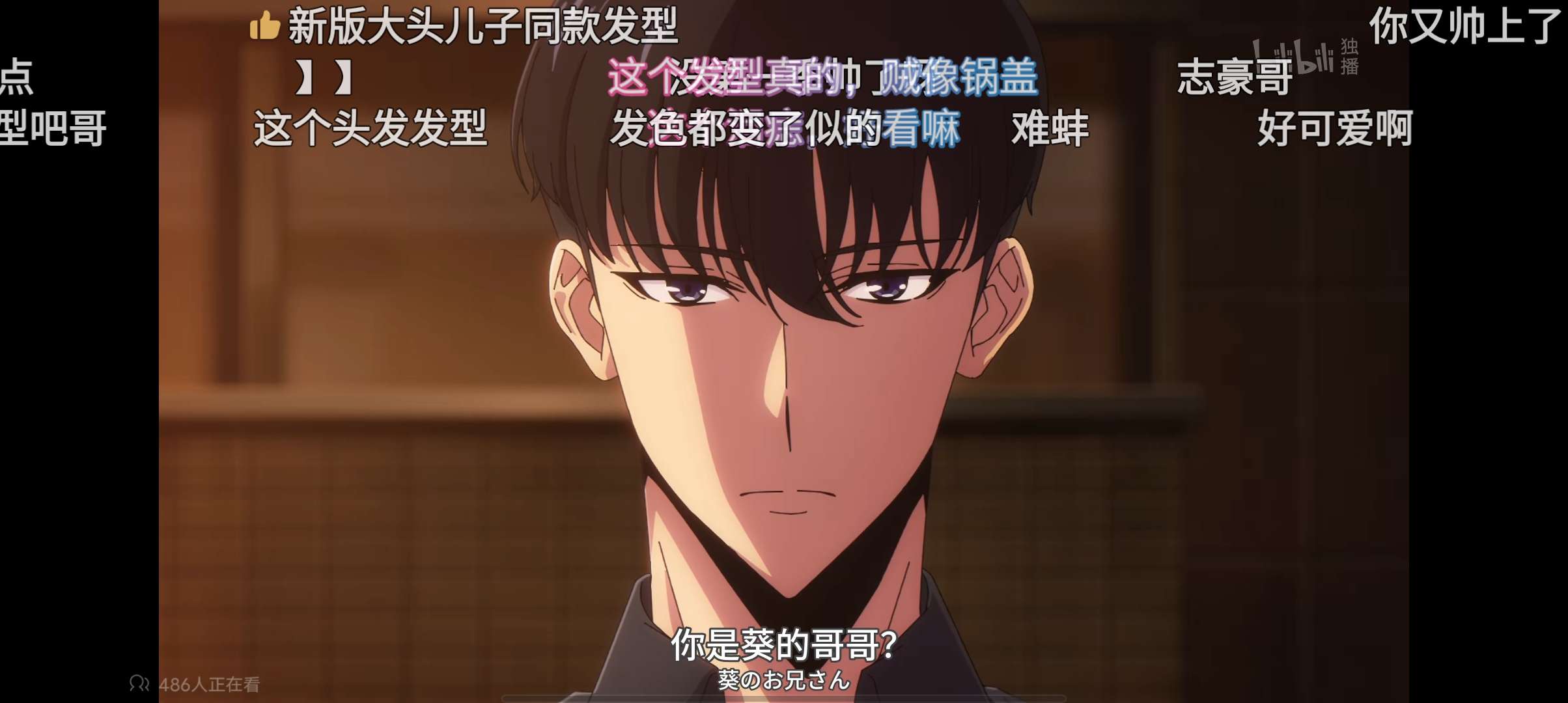哔哩哔哩国际版简洁无广无弹窗畅看番剧动漫第5张插图