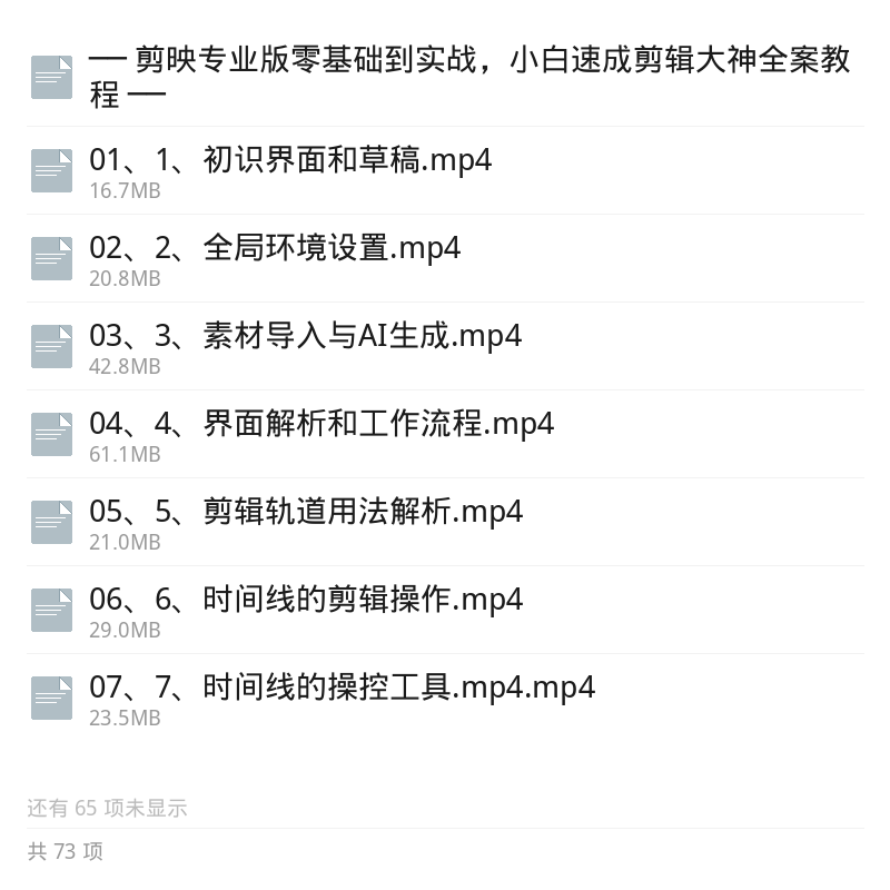 职业剪辑思维实战课｜带货宣传片全能教程第5张插图