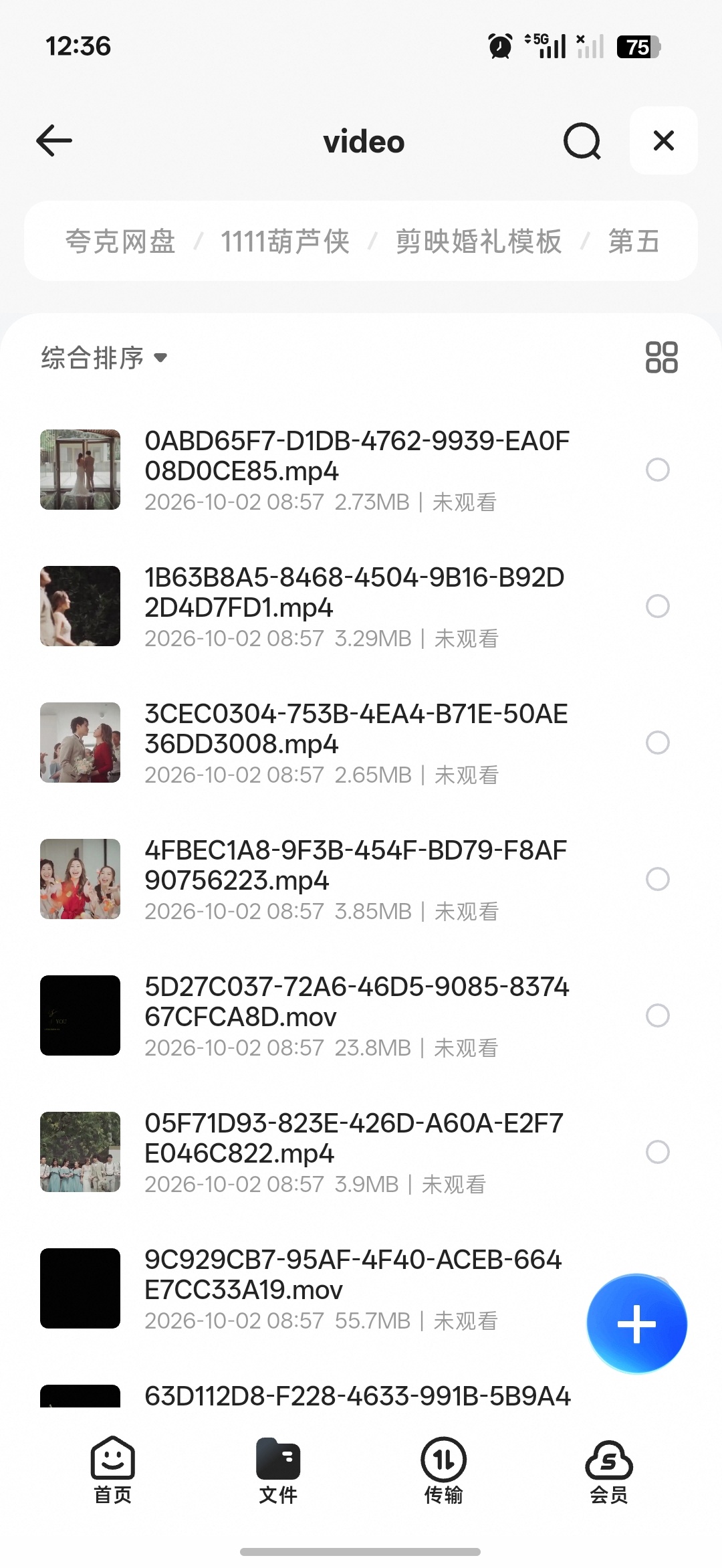 高质量婚礼剪辑模板教程第6张插图