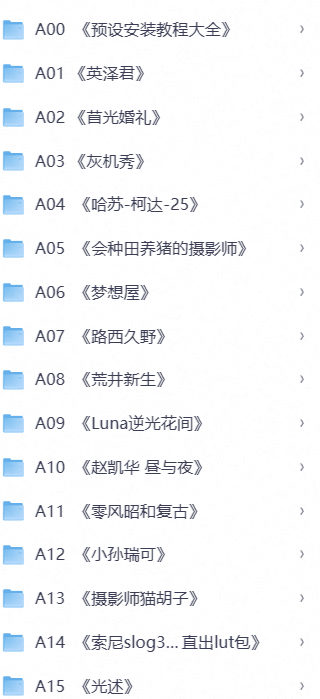 婚礼人像风光通用调色素材第4张插图