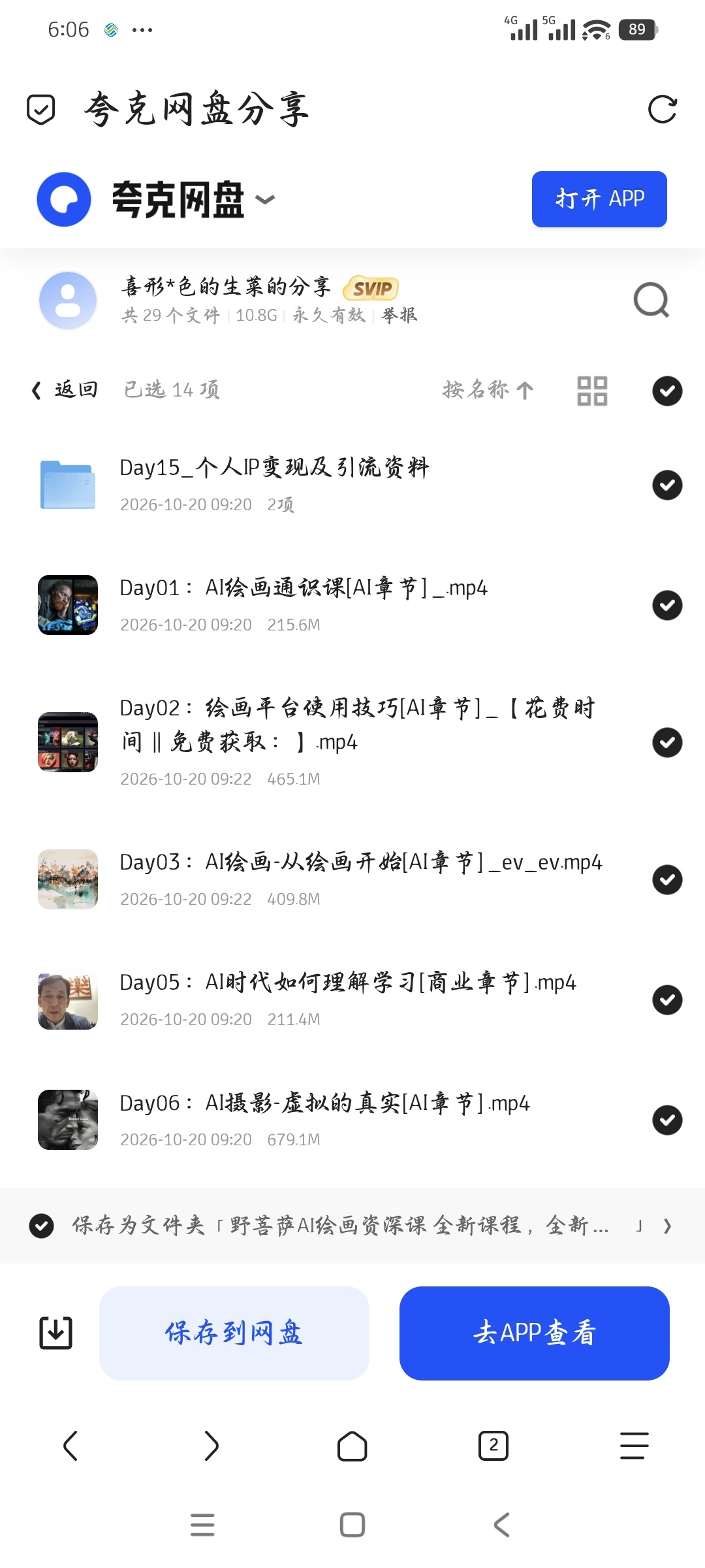 「野菩萨 AI绘画资深课 全新课程，全新视野，知识重构，第5张插图