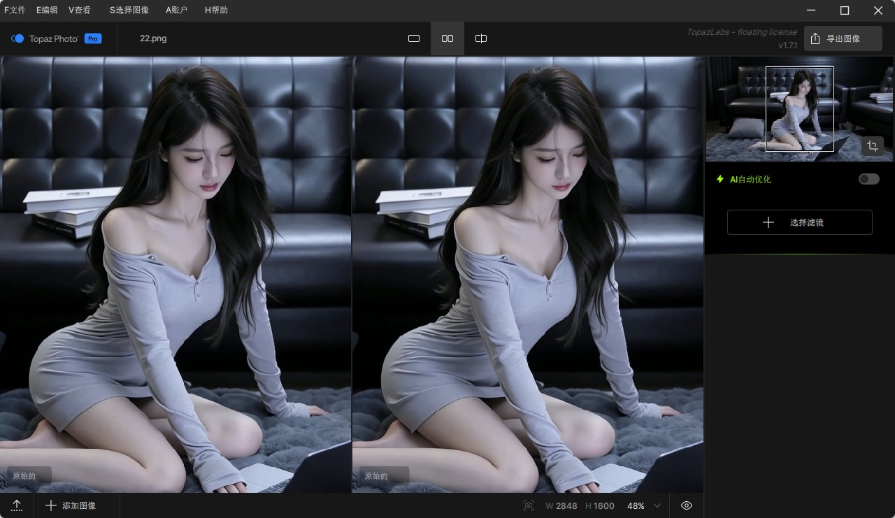 Topaz Photo Pro v1.7.1 AI图像画质修复与超分辨率增强 中文汉化便携版第6张插图