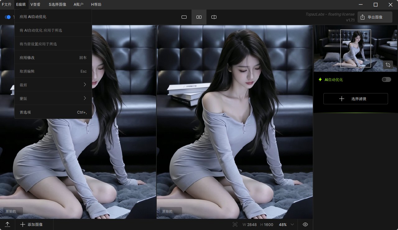 Topaz Photo Pro v1.7.1 AI图像画质修复与超分辨率增强 中文汉化便携版第7张插图