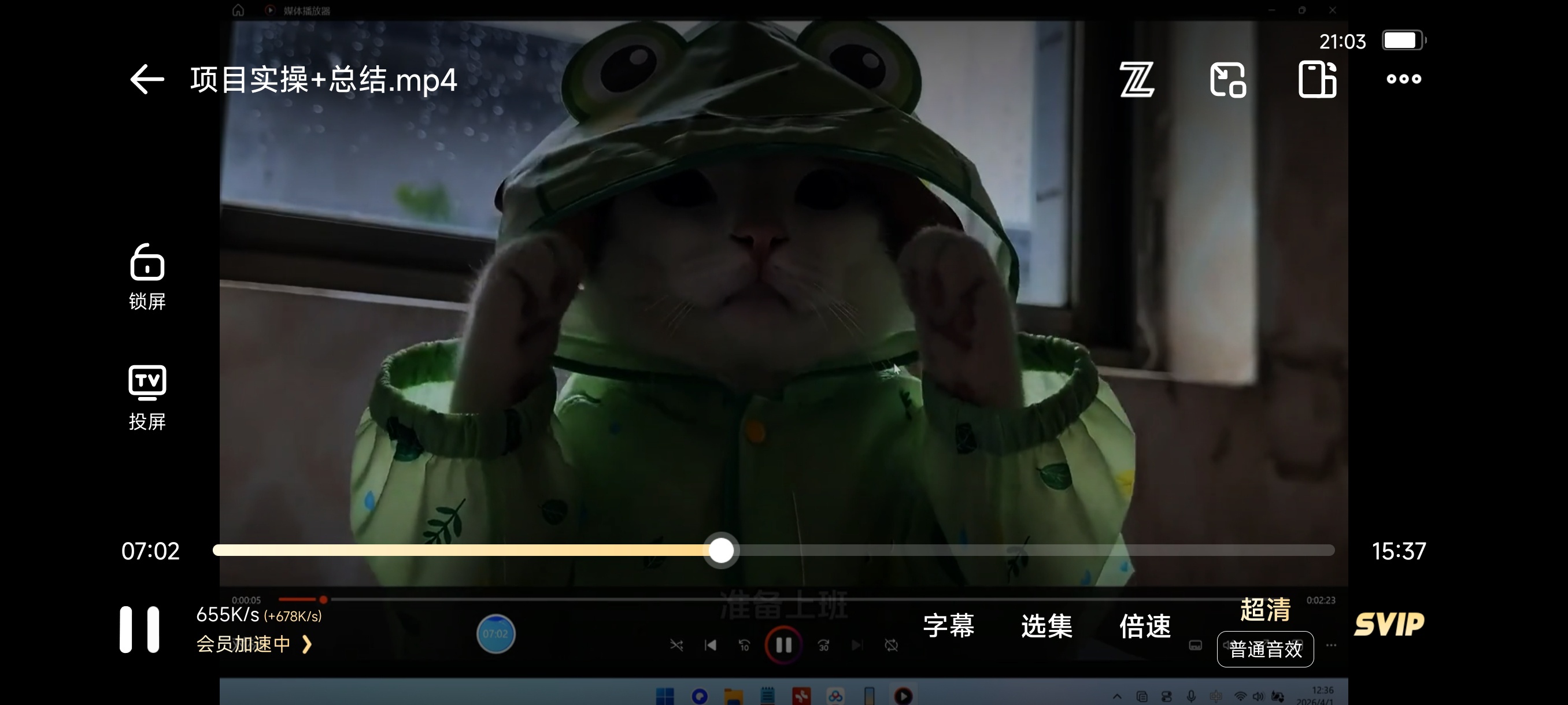 抖音可爱猫咪生活日记视频第5张插图