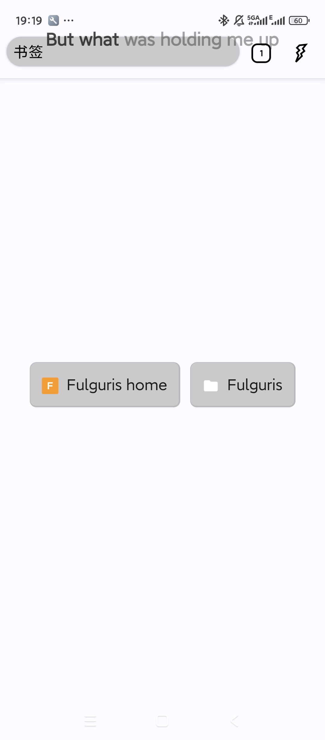 fulguris极简小巧纯净浏览超强劲第4张插图 fulguris极简小巧纯净浏览超强劲第4张插图