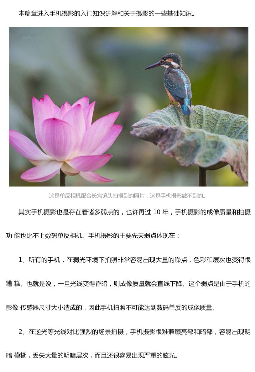 手机摄影资料第6张插图