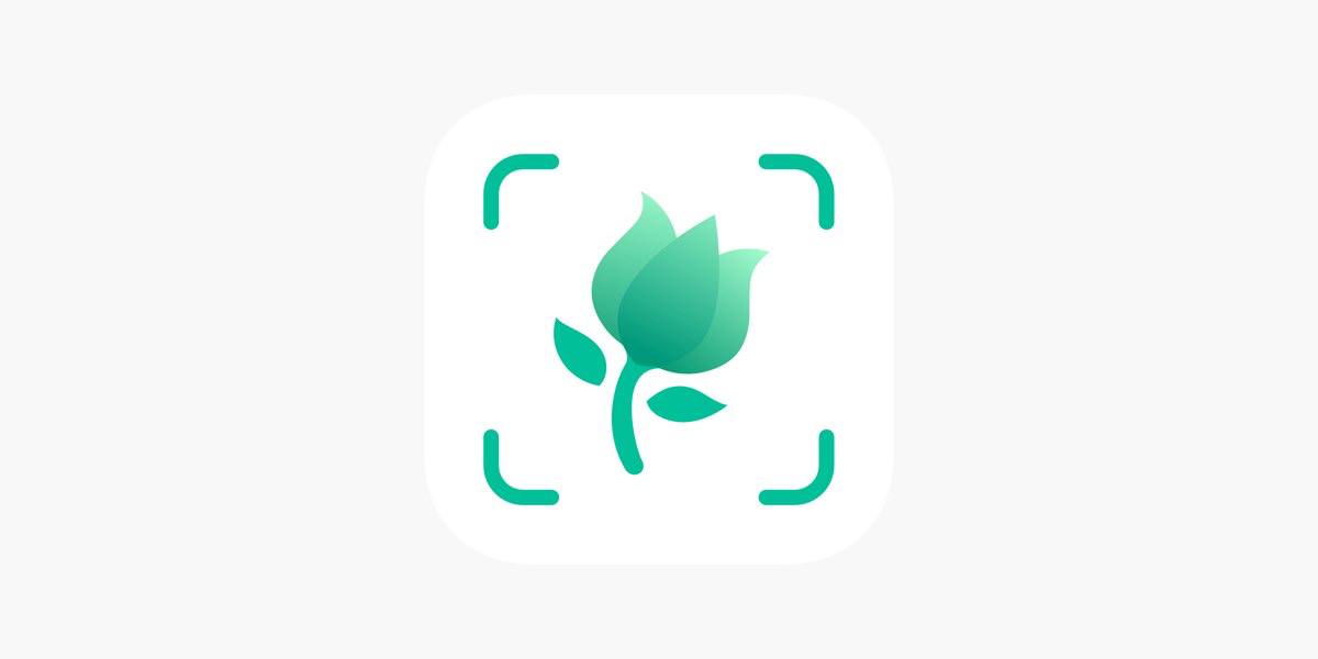 植物识别5.25.0🏀植物养护识别第5张插图 植物识别5.25.0🏀植物养护识别第5张插图