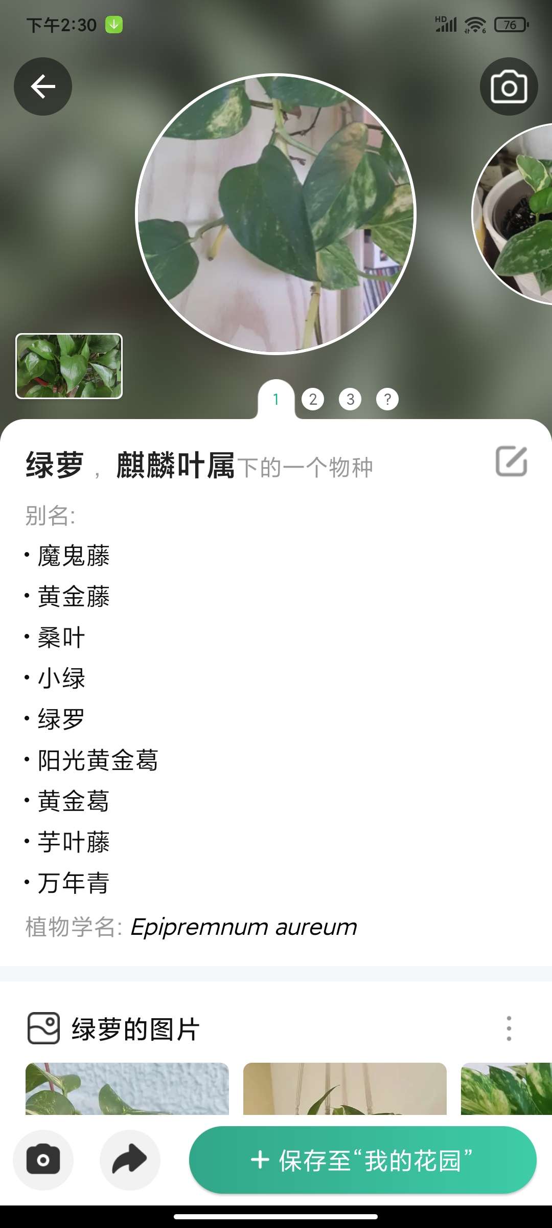 植物识别5.25.0🏀植物养护识别第7张插图 植物识别5.25.0🏀植物养护识别第7张插图