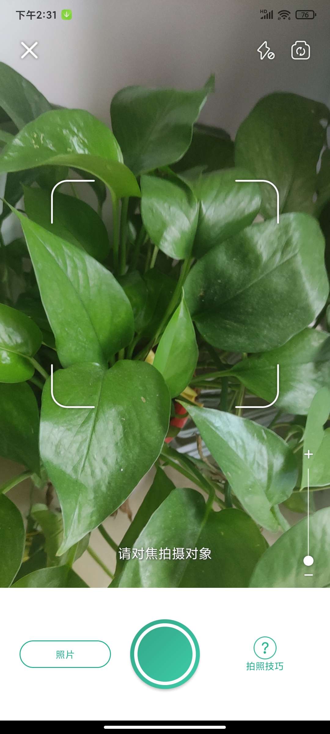 植物识别5.25.0🏀植物养护识别第6张插图 植物识别5.25.0🏀植物养护识别第6张插图