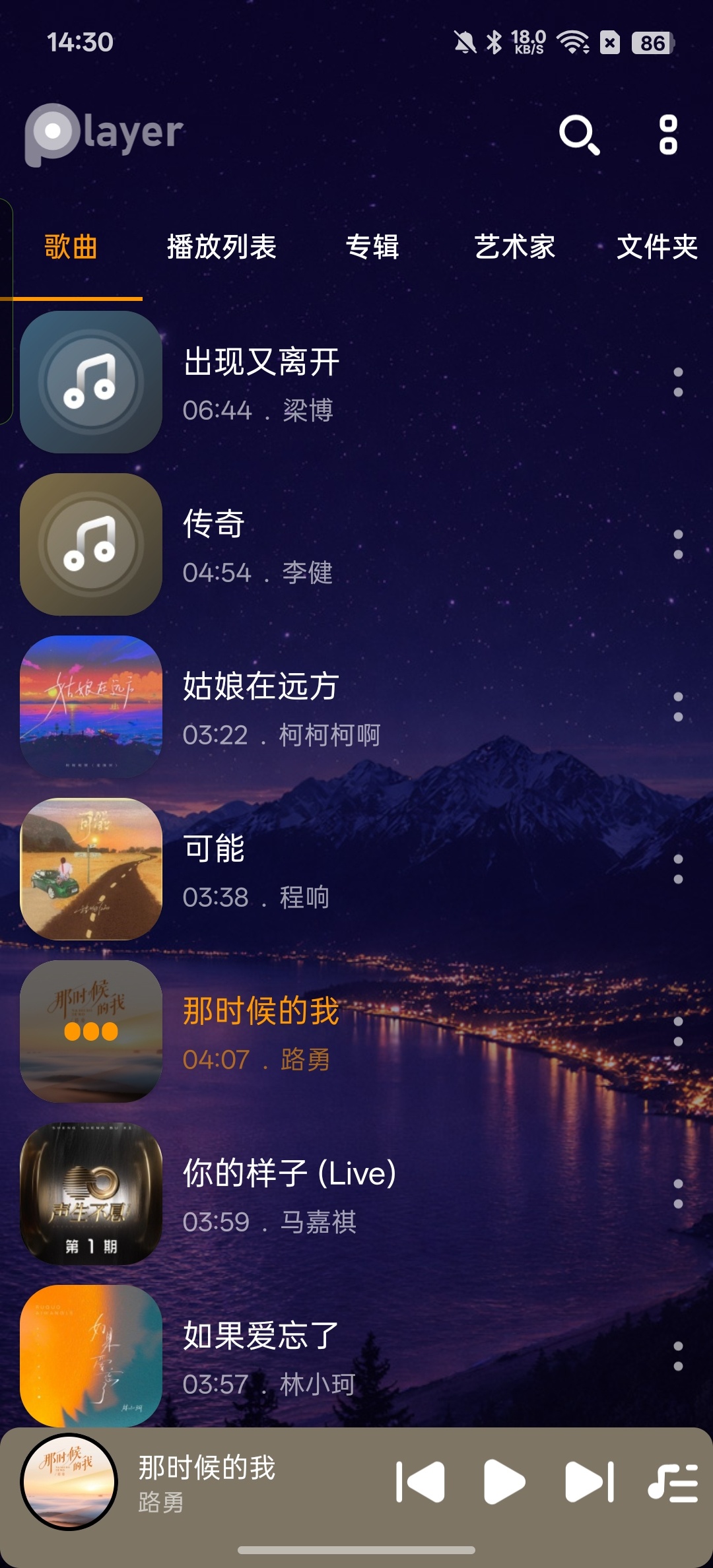 音乐播放器简洁纯粹的本地播放器免费无广第6张插图
