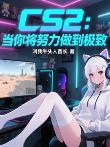 游戏小说CS2：当你努力做到极致第3张插图