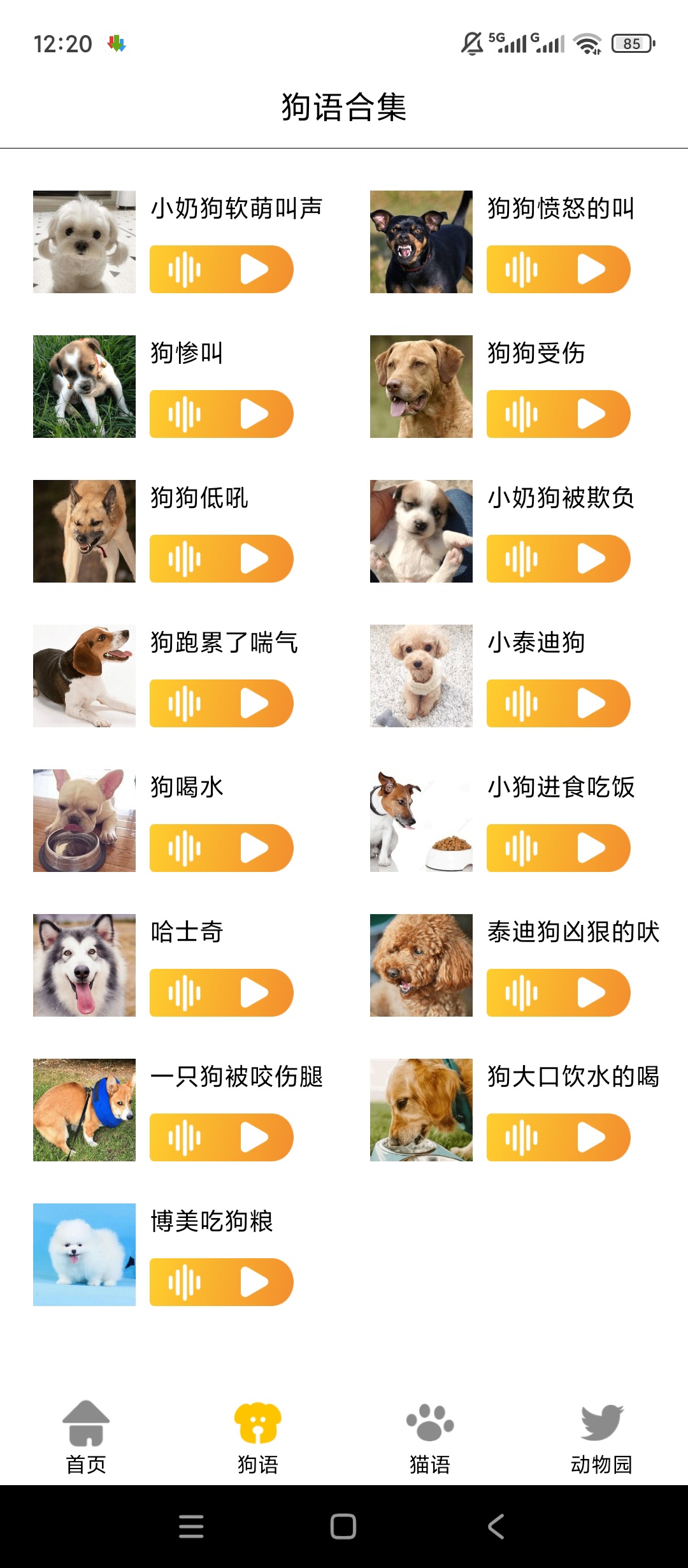 原创解锁猫狗语言翻译交流器解锁会员人宠互译趣味互动第6张插图