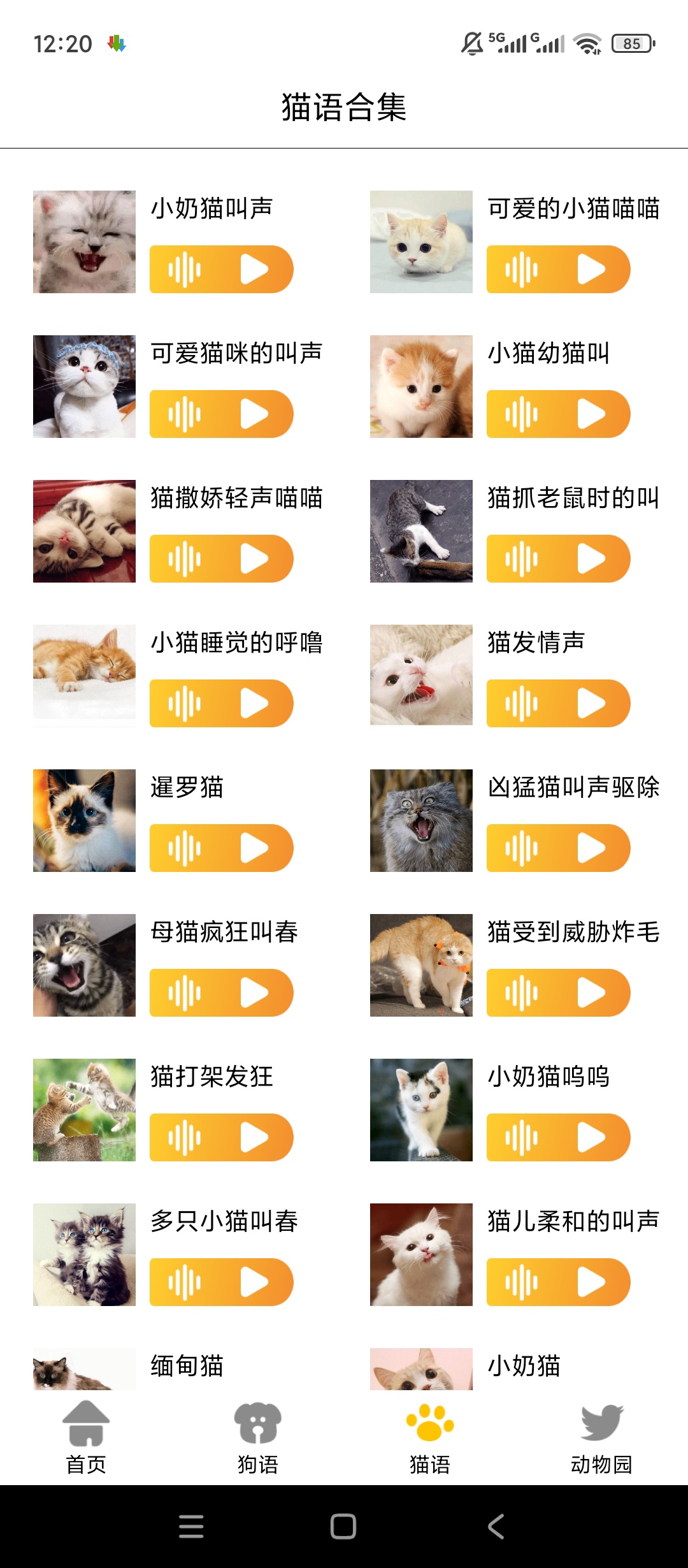 原创解锁猫狗语言翻译交流器解锁会员人宠互译趣味互动第7张插图