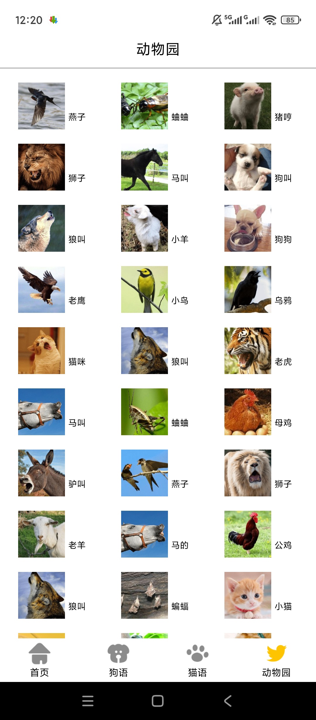 原创解锁猫狗语言翻译交流器解锁会员人宠互译趣味互动第8张插图