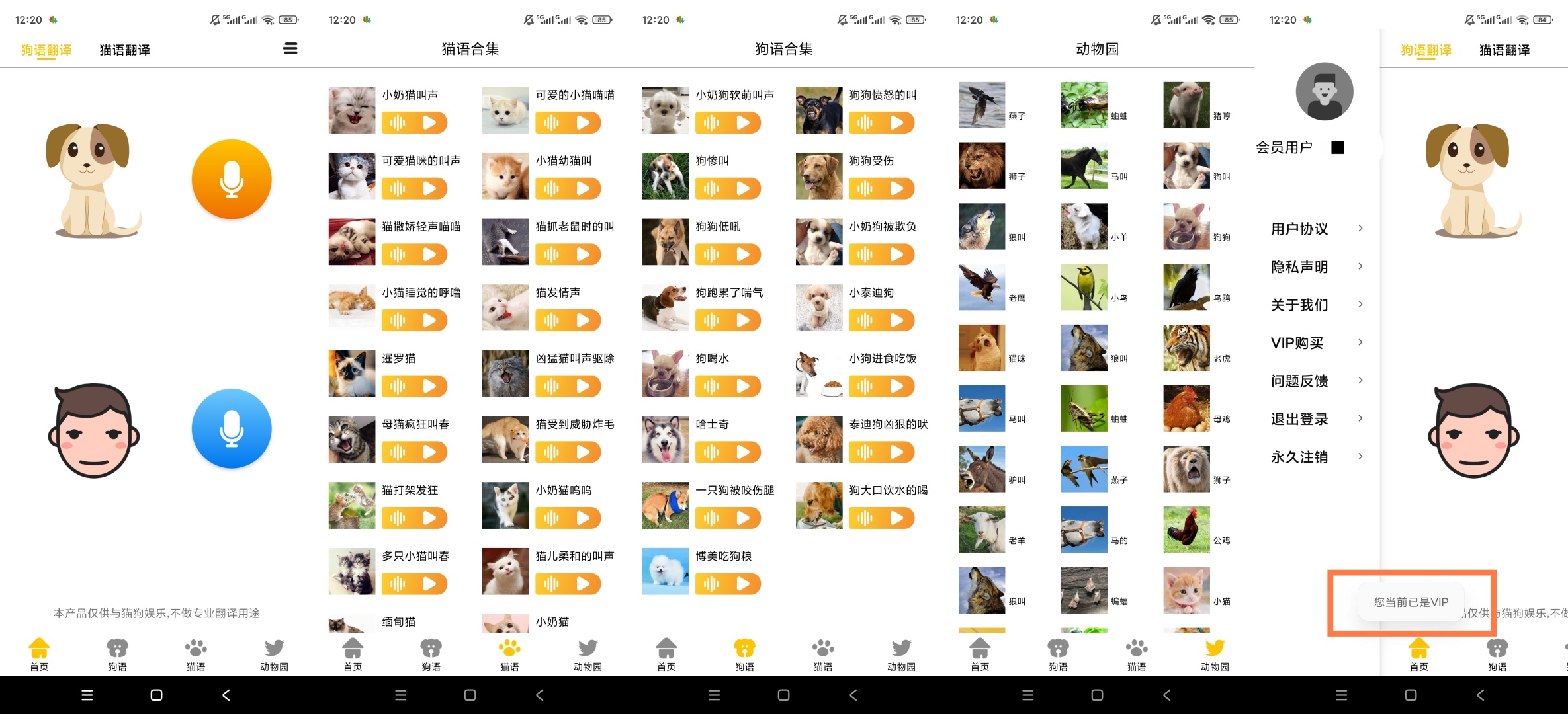 原创解锁猫狗语言翻译交流器解锁会员人宠互译趣味互动第10张插图