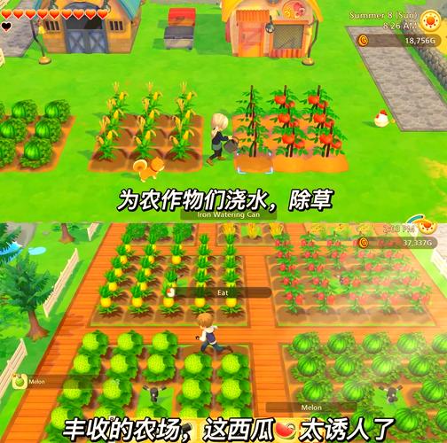 手游分享牧场物语：橄榄镇与希望大地 金手指第11张插图
