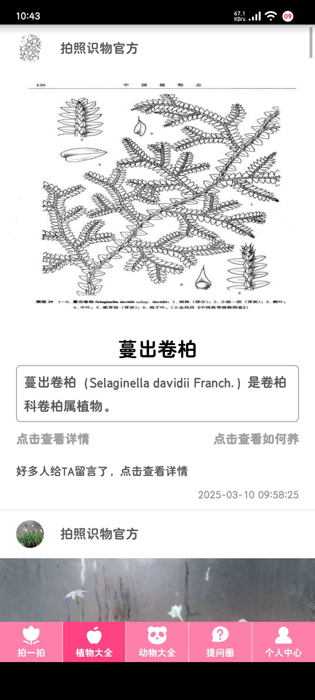 拍照识物3.1.9物品识别高准确率第8张插图