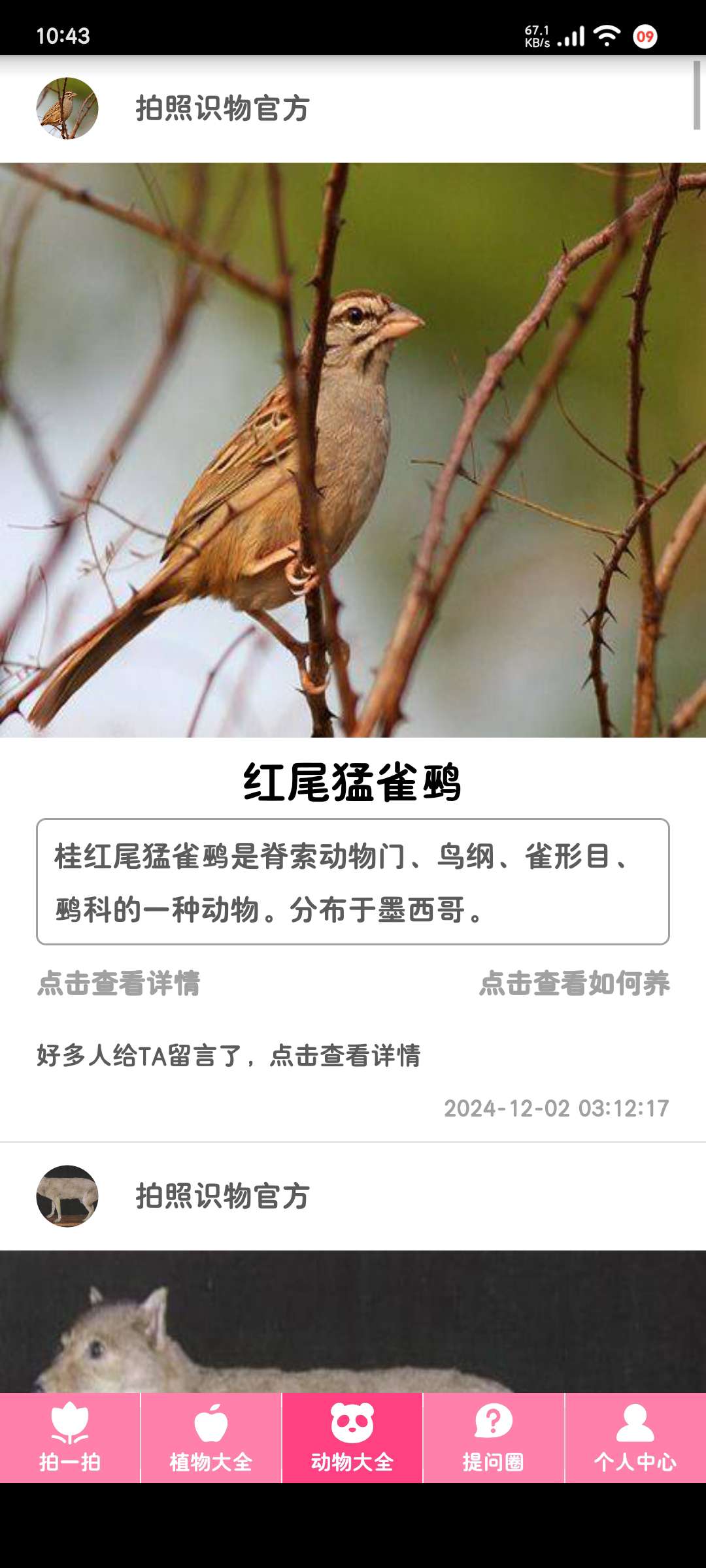 拍照识物3.1.9物品识别高准确率第7张插图