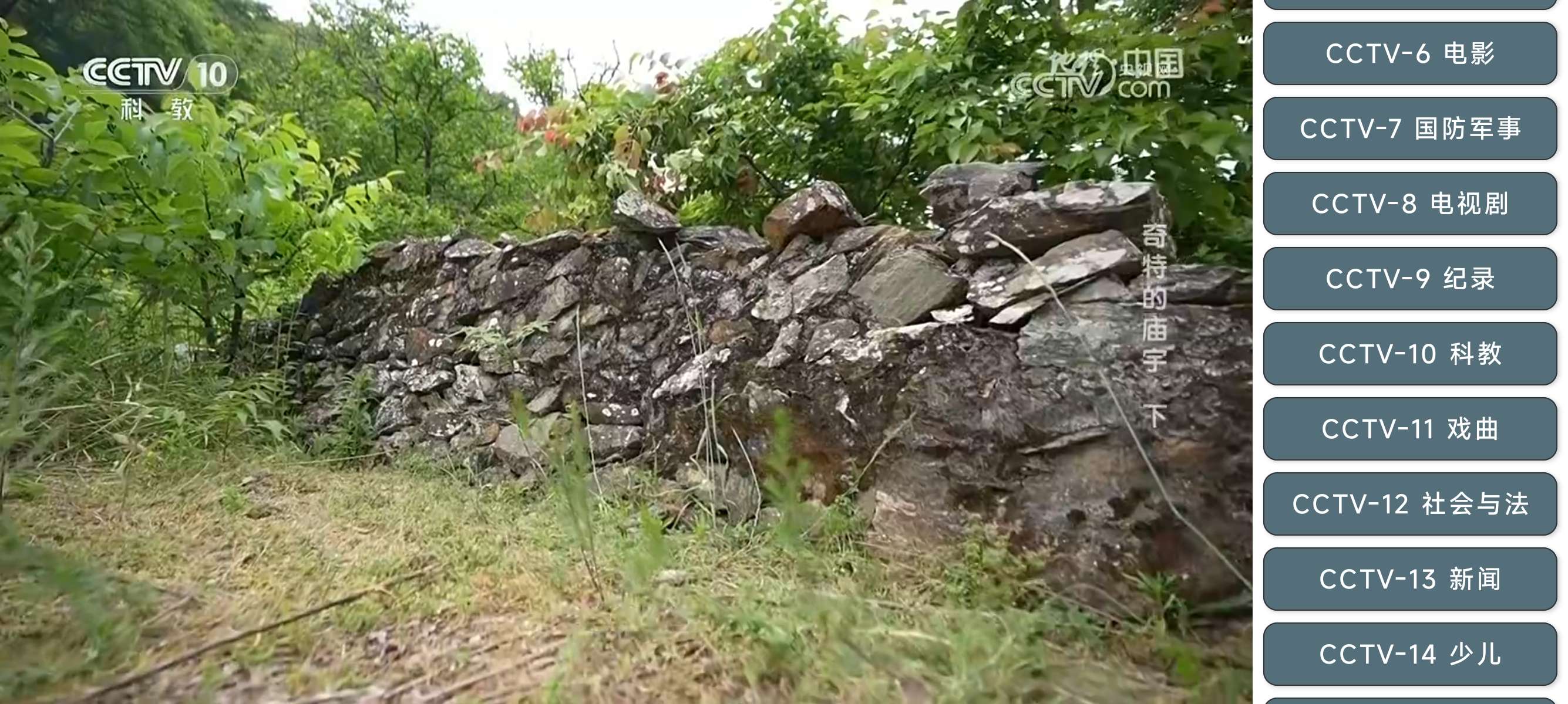 TVAuto支持Web直播源✨电视直播✨秒播无卡顿第4张插图 TVAuto支持Web直播源✨电视直播✨秒播无卡顿第4张插图