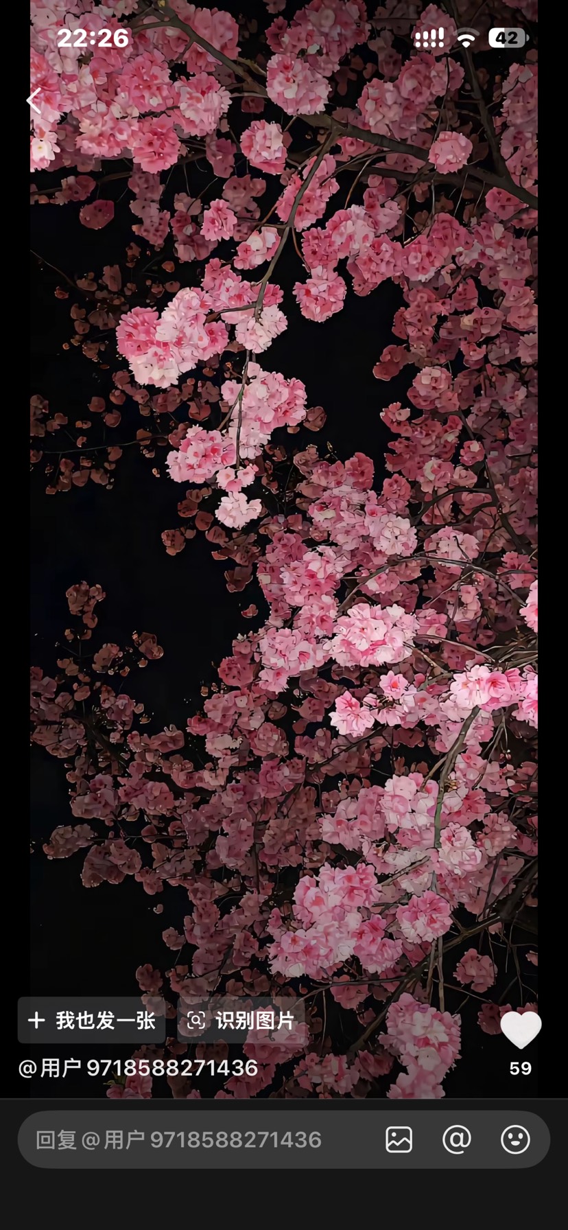 大佬求壁纸