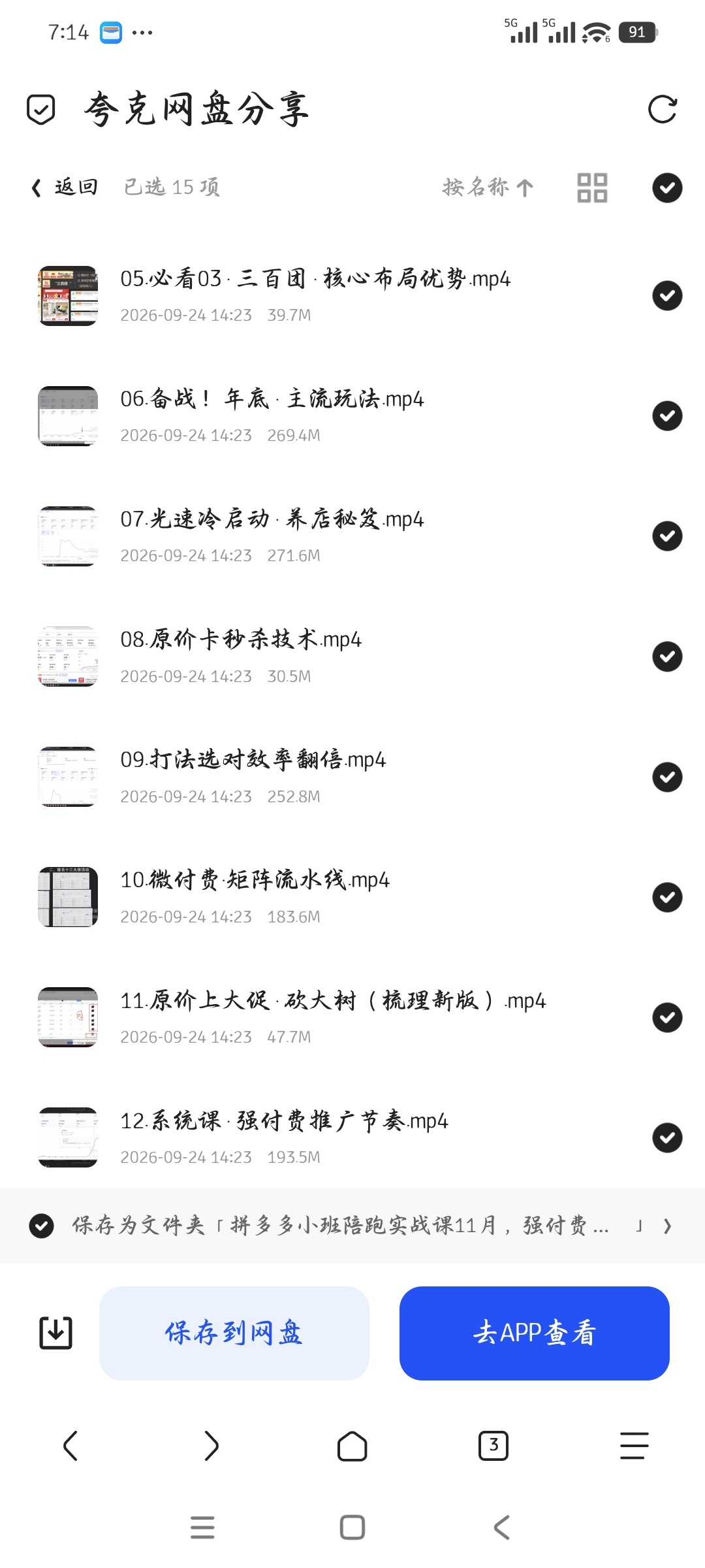 「拼多多小班陪跑实战课，强付费矩阵、原价活动、暗券引流」第6张插图