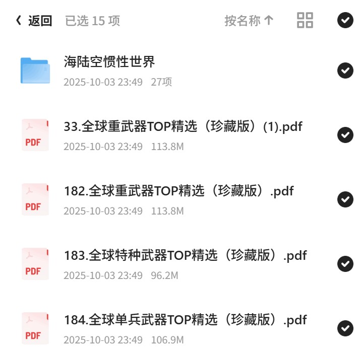 武器装备大合集第5张插图