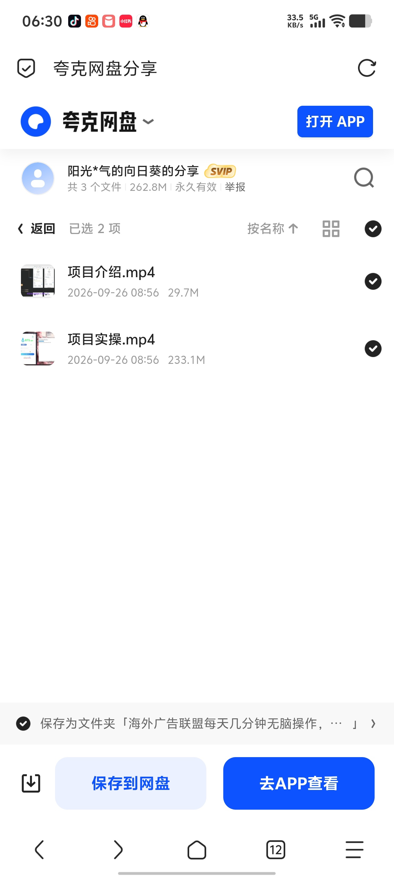 「海外广告联盟每天几分钟无脑操作，可矩阵并附有管道收益」第5张插图