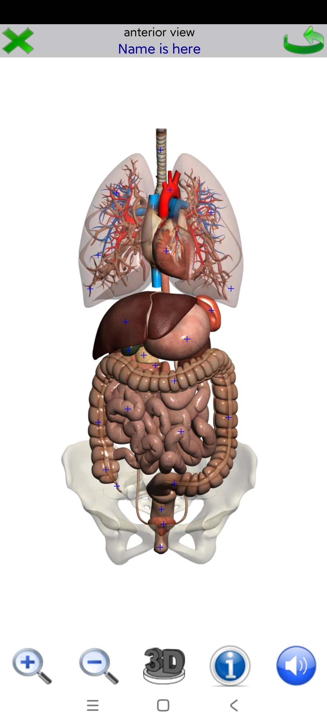 Visual 3D人体虚拟解剖解锁高级版第4张插图 Visual 3D人体虚拟解剖解锁高级版第4张插图