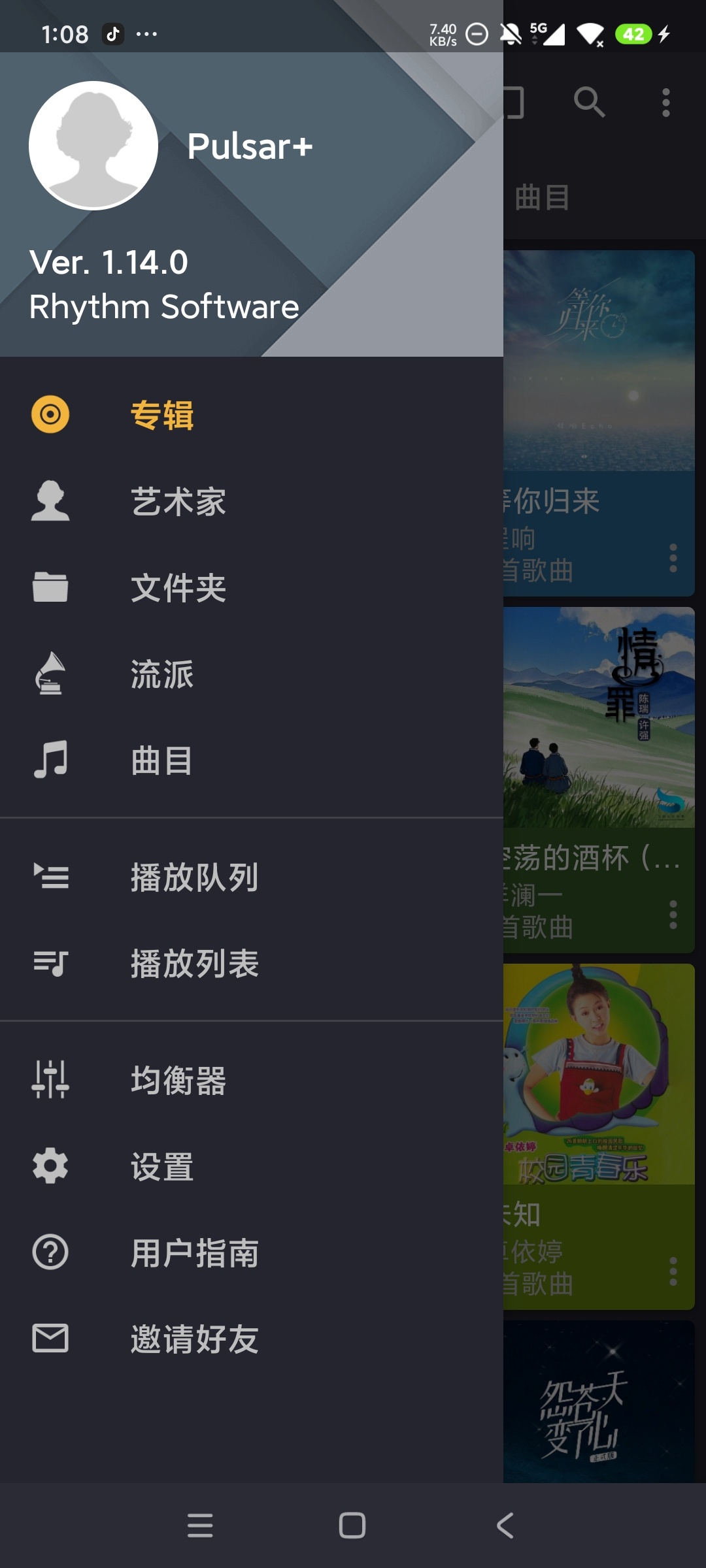 Pulsar+音乐播放器高级版无广告畅听第5张插图