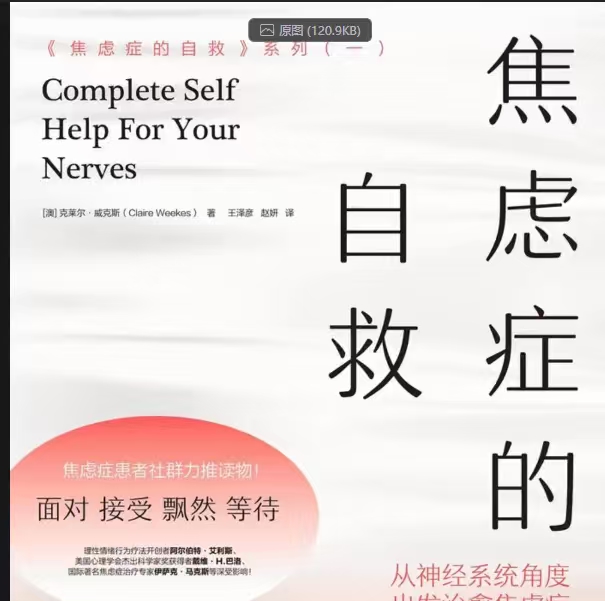 焦虑症的自救：从神经系统角度出发治愈焦虑症第4张插图