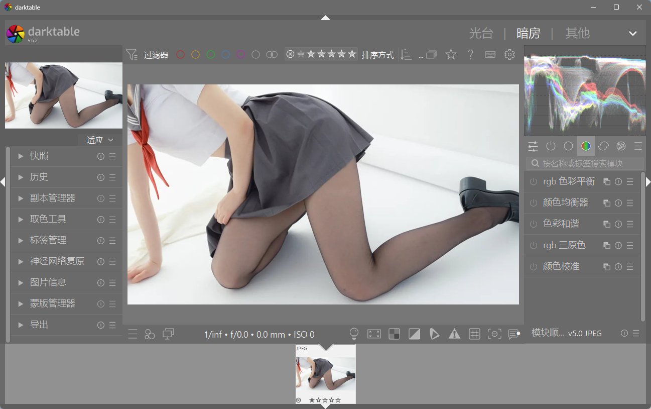 darktable 开源版 - 顶级专业RAW照片显影与暗房调色利器 免费替代Lightro第7张插图