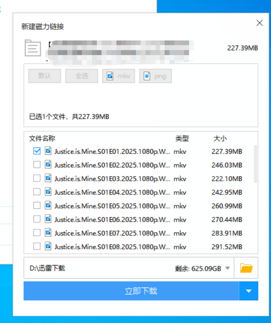 5款磁力BT下载器迅雷极限精简版磁力高速下载第6张插图