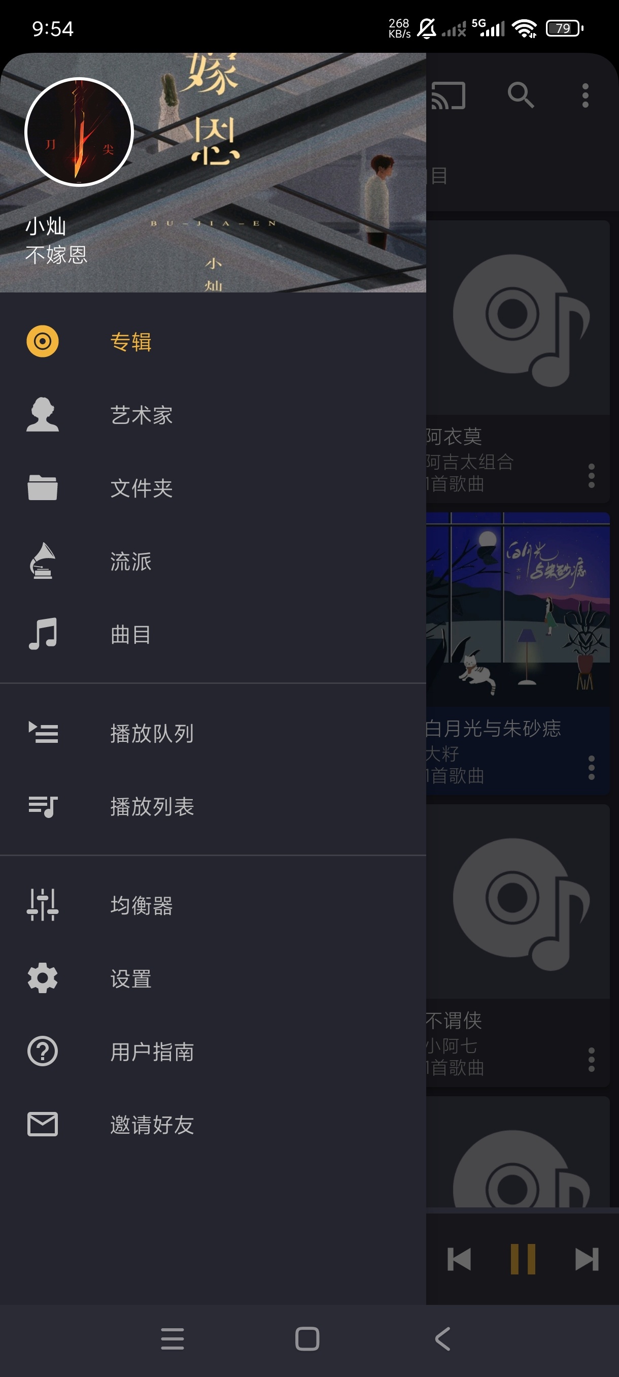 Pulsar1.13.11单机音乐播放器离线畅听第9张插图 Pulsar1.13.11单机音乐播放器离线畅听第9张插图