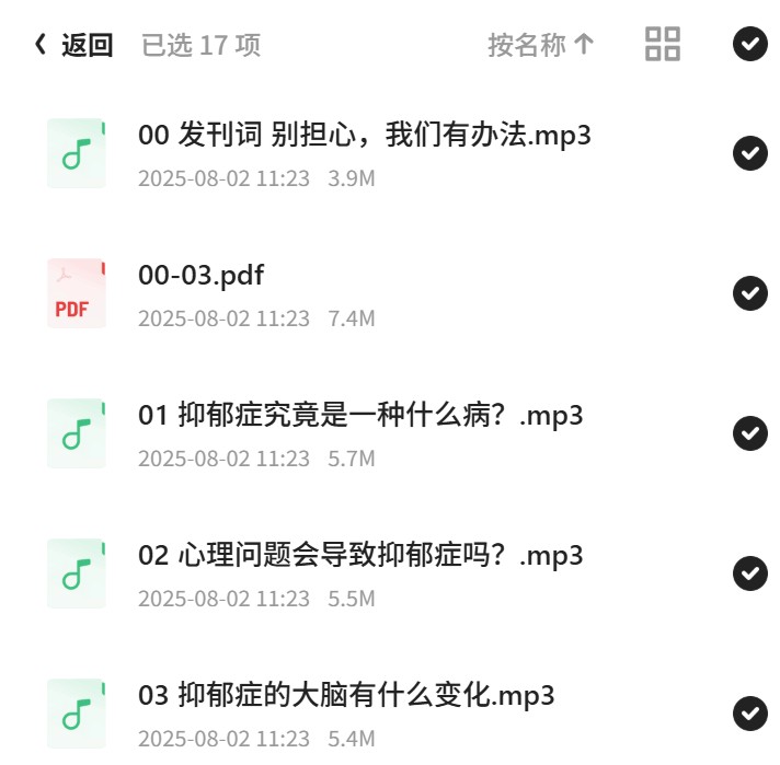 抑郁症医学课，忙碌者的心理指南第5张插图