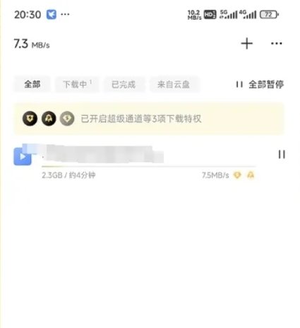 迅雷_v. 8. 12_去广告（解锁本地会员）第7张插图