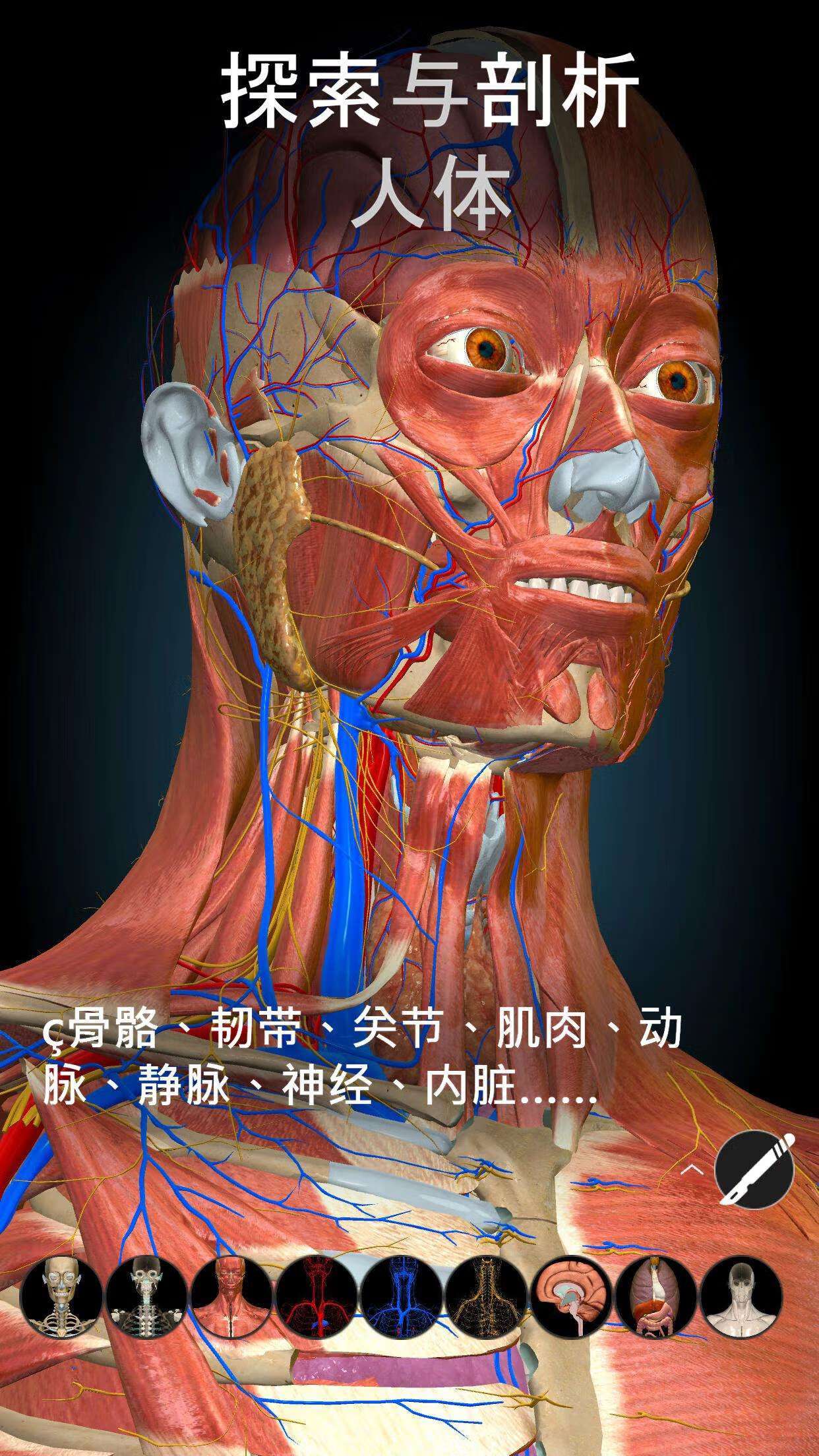 3Dbody解剖人体构造可视化！自由拆解第6张插图