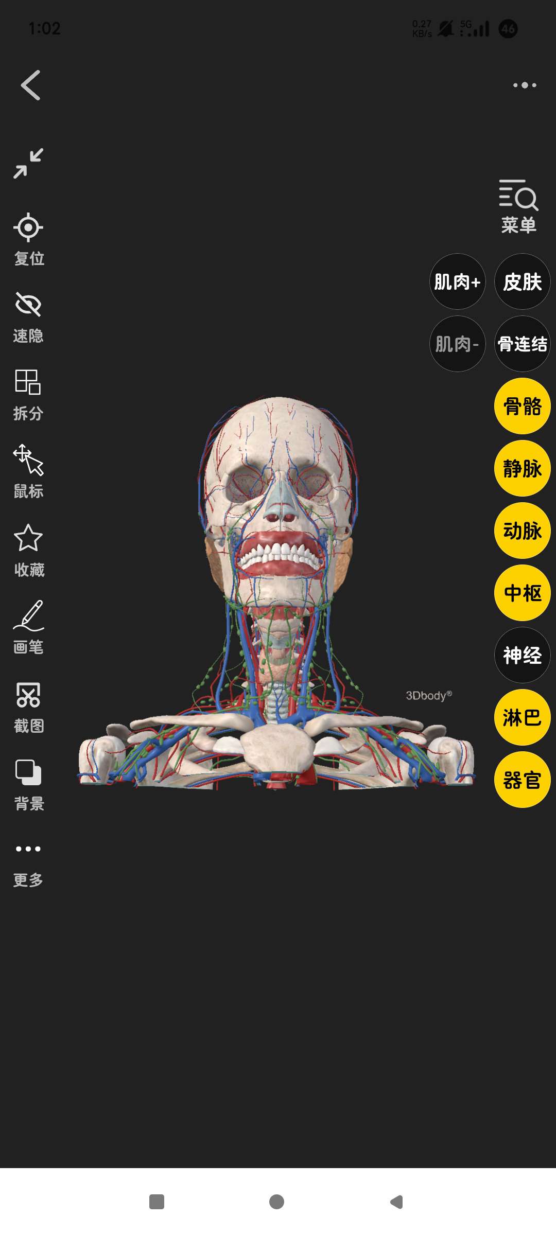 3Dbody解剖人体构造可视化！自由拆解第8张插图
