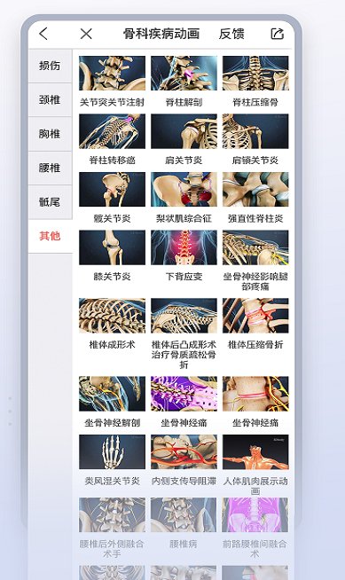 3Dbody解剖人体构造可视化！自由拆解第7张插图
