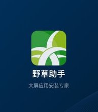 【分享】野草助手2.2.7🔥大屏应用安装工具🔥车机TV