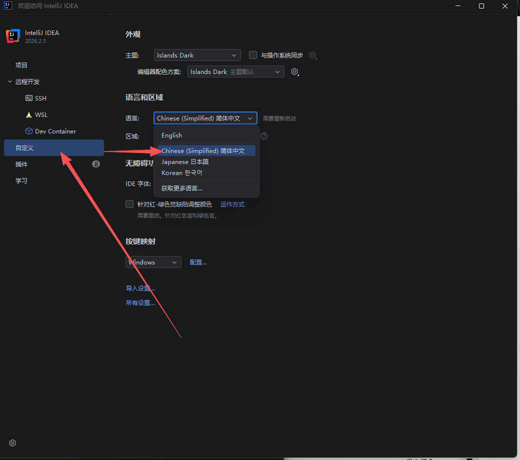 PCIntelliJ IDEA 2026中文版第8张插图