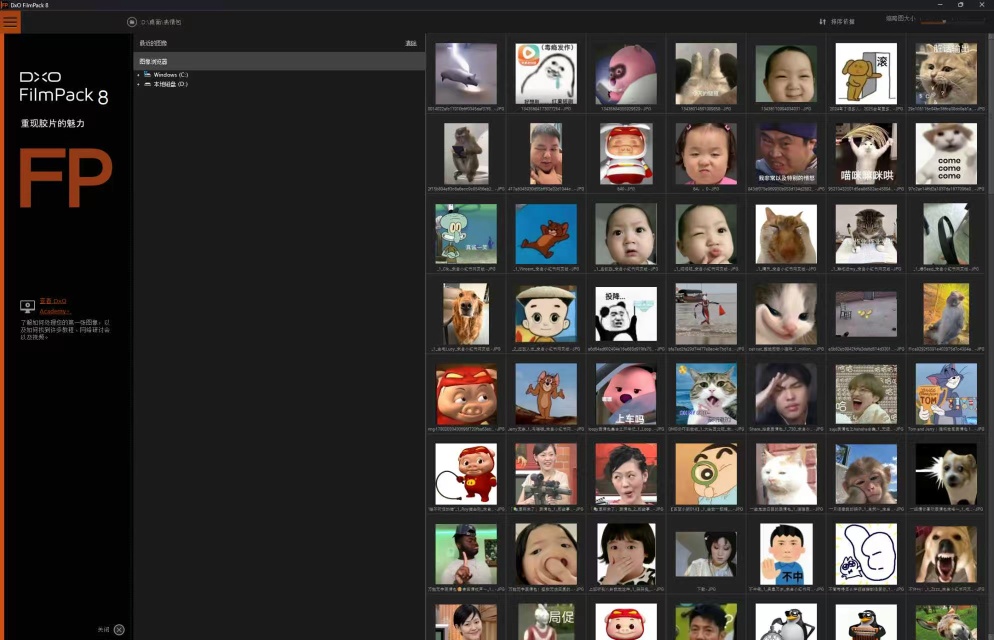 PCDxO FilmPack 8（胶片模拟软件）第6张插图