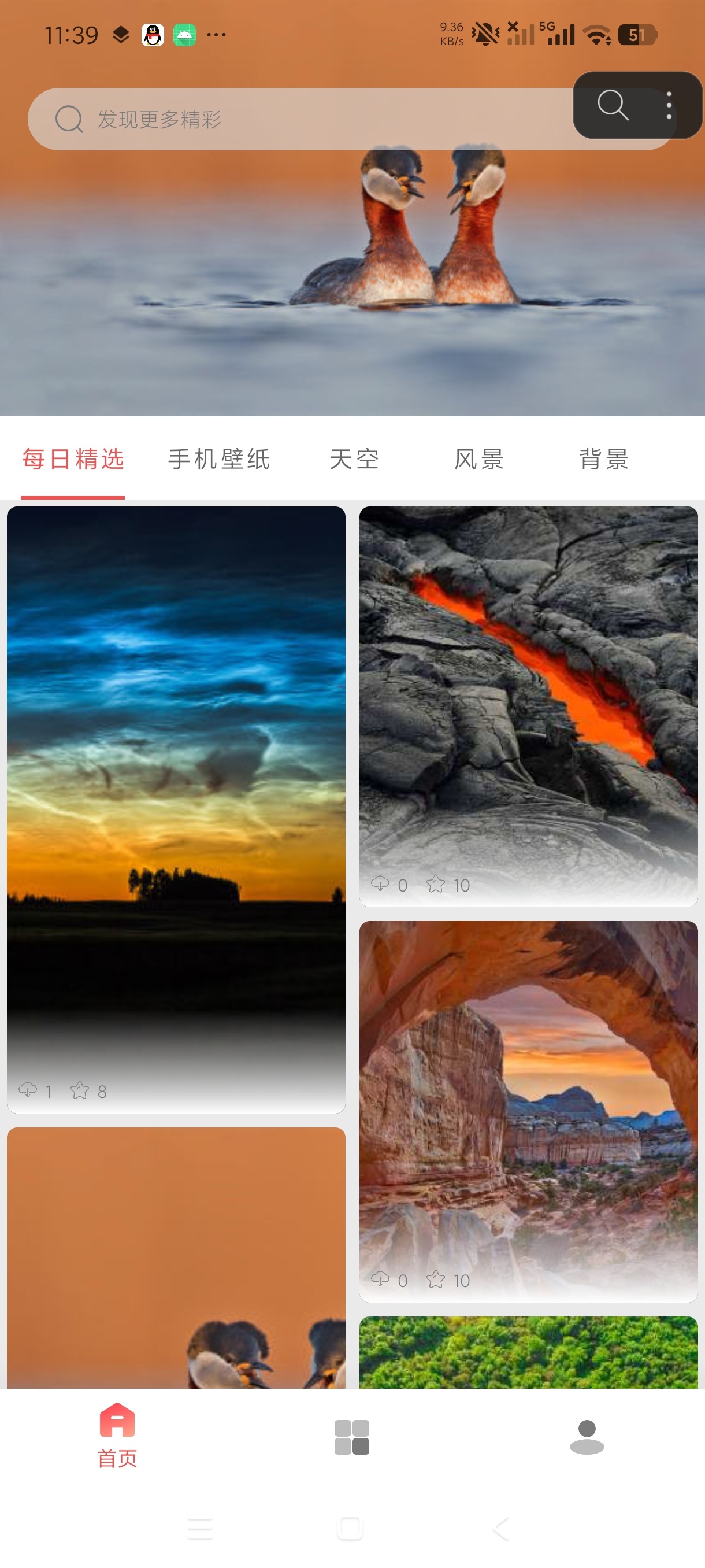 伞果壁纸海量高清壁纸随心挑选安卓绿化版第5张插图