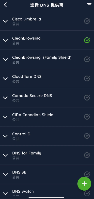 DNS优选解锁专业版优选最快DNS～访问受限网站第8张插图